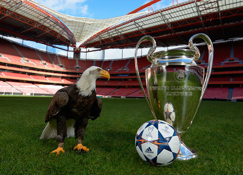 C罗谈缺席若塔葬礼：这种时刻我不想成焦点，不后悔这一决定（C罗回应缺席若塔葬礼：不愿成为焦点，对此并不后悔）